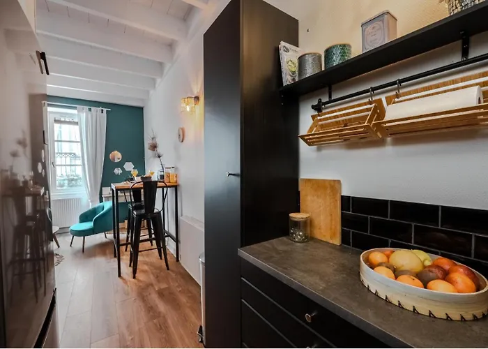 Magnifique Duplex Renove 3 Etoiles Centre Historique Au Calme Appartement *